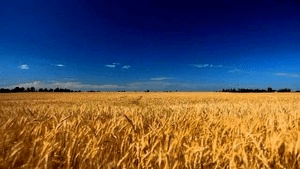 Картинка новини